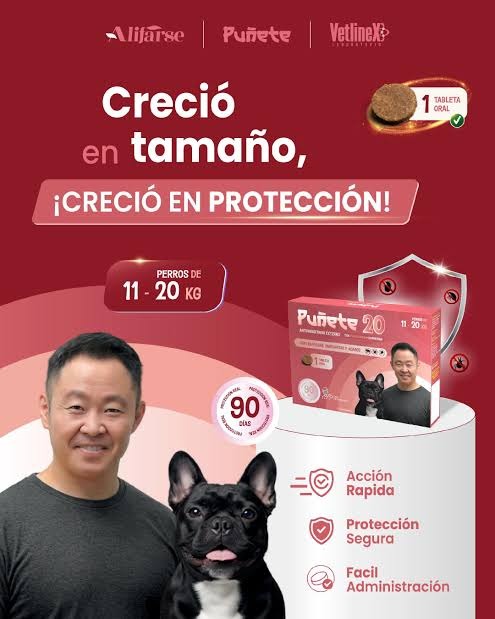 PUÑETE 20 (11 A 20KG) - 1