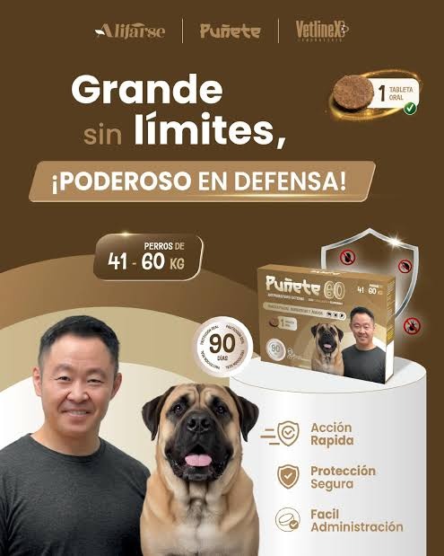 PUÑETE 60 (41 A 60KG) - 1