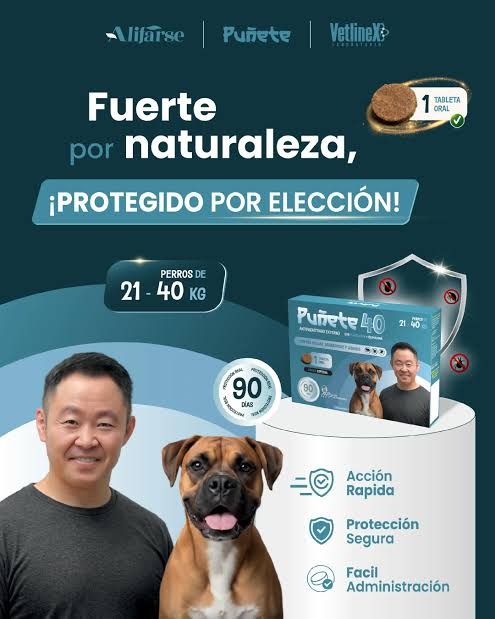 PUÑETE 40 (21 A 40KG) - 1