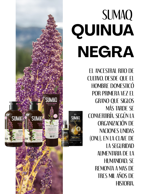 KIT DE QUINUA NEGRA - SHAMPOO + ACONDICIONADOR + MASCARILLA + ACEITE - SUMAQ - 6