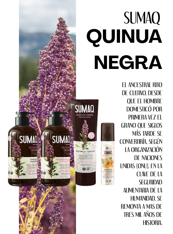 KIT DE QUINUA NEGRA - SHAMPOO + ACONDICIONADOR + MASCARILLA + BIFASICO - SUMAQ - 6