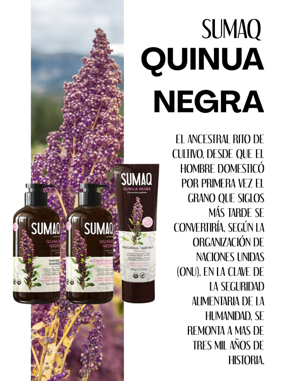 KIT DE QUINUA NEGRA - SHAMPOO + ACONDICIONADOR + MASCARILLA- SUMAQ - 5