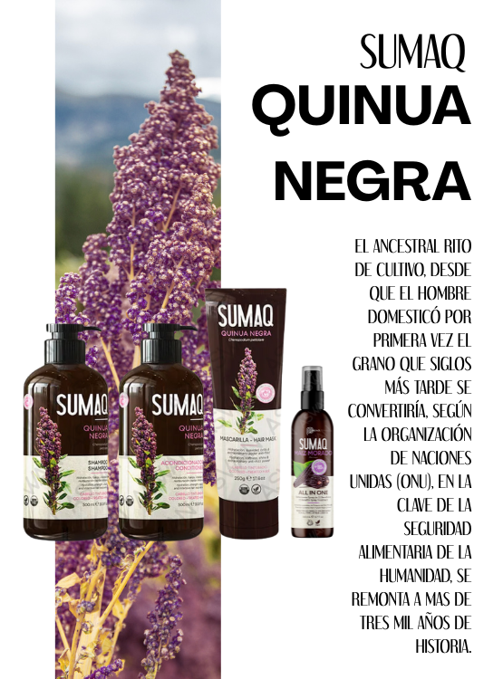 KIT DE QUINUA NEGRA - SHAMPOO + ACONDICIONADOR + MASCARILLA + MAIZ MORADO - SUMAQ - 6