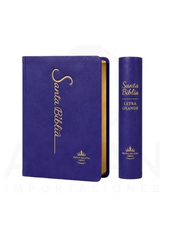 SANTA BIBLIA RV1960 LETRA GRANDE 12 PUNTOS COLECCIÓN FINA MORADO - 3