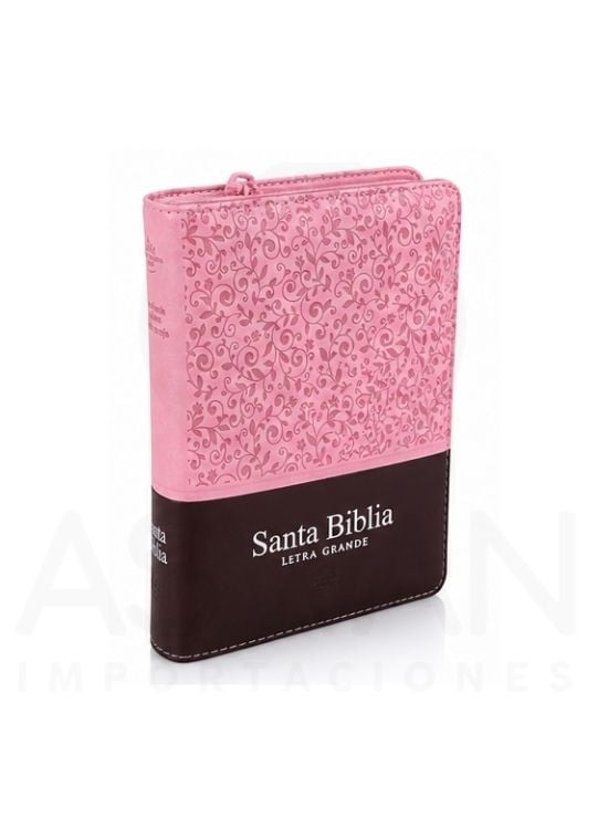 BIBLIA GRANDE LETRA GIGANTE 14 PUNTOS - 3