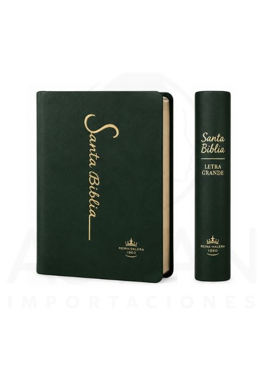 SANTA BIBLIA RV1960 LETRA GRANDE 12 PUNTOS COLECCIÓN FINA VERDE - 3