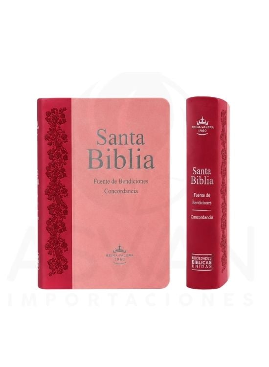 BIBLIA REINA VALERA 1960, FUENTE DE BENDICIÓN DE PROMESAS - 3