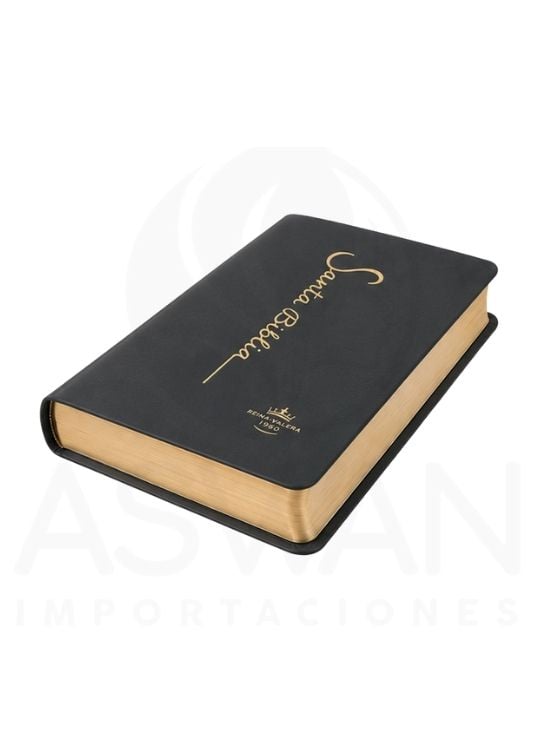 SANTA BIBLIA RV1960 LETRA GRANDE 12 PUNTOS COLECCIÓN FINA PLOMO - 2
