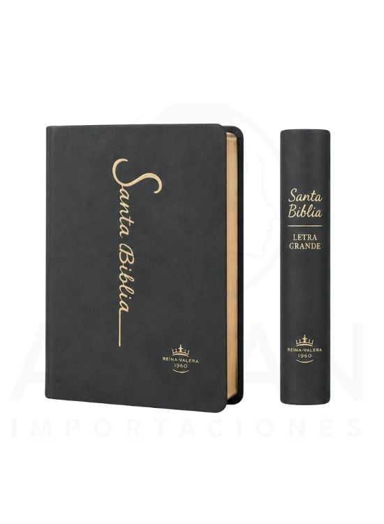 SANTA BIBLIA RV1960 LETRA GRANDE 12 PUNTOS COLECCIÓN FINA PLOMO - 3