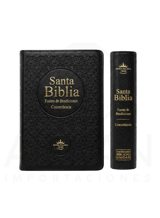 BIBLIA REINA VALERA 1960, TAPA VINIL, FUENTES DE BENDICIÓN - 3