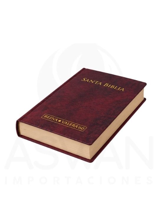 SANTA BIBLIA REINA VALERIA LETRA GRANDE - 2