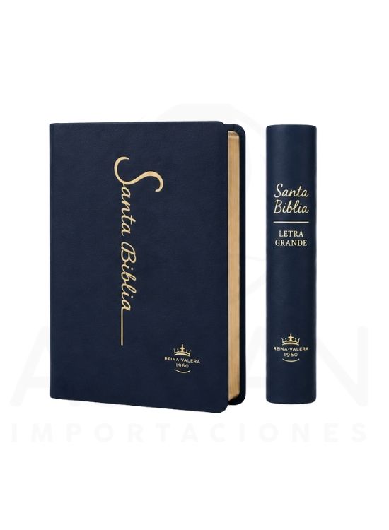 SANTA BIBLIA RV1960 LETRA GRANDE 12 PUNTOS COLECCIÓN FINA AZUL - 3