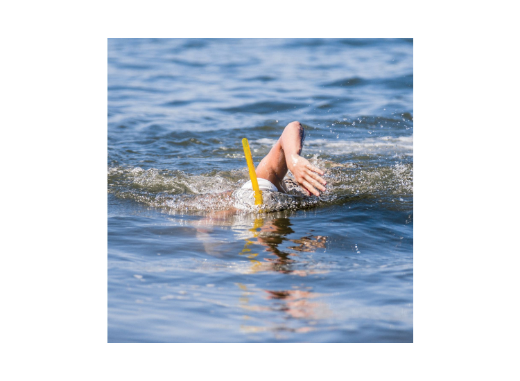 SNORKEL NATACIÓN FINIS ORIGINAL SWIMMERS ADULTO - 4
