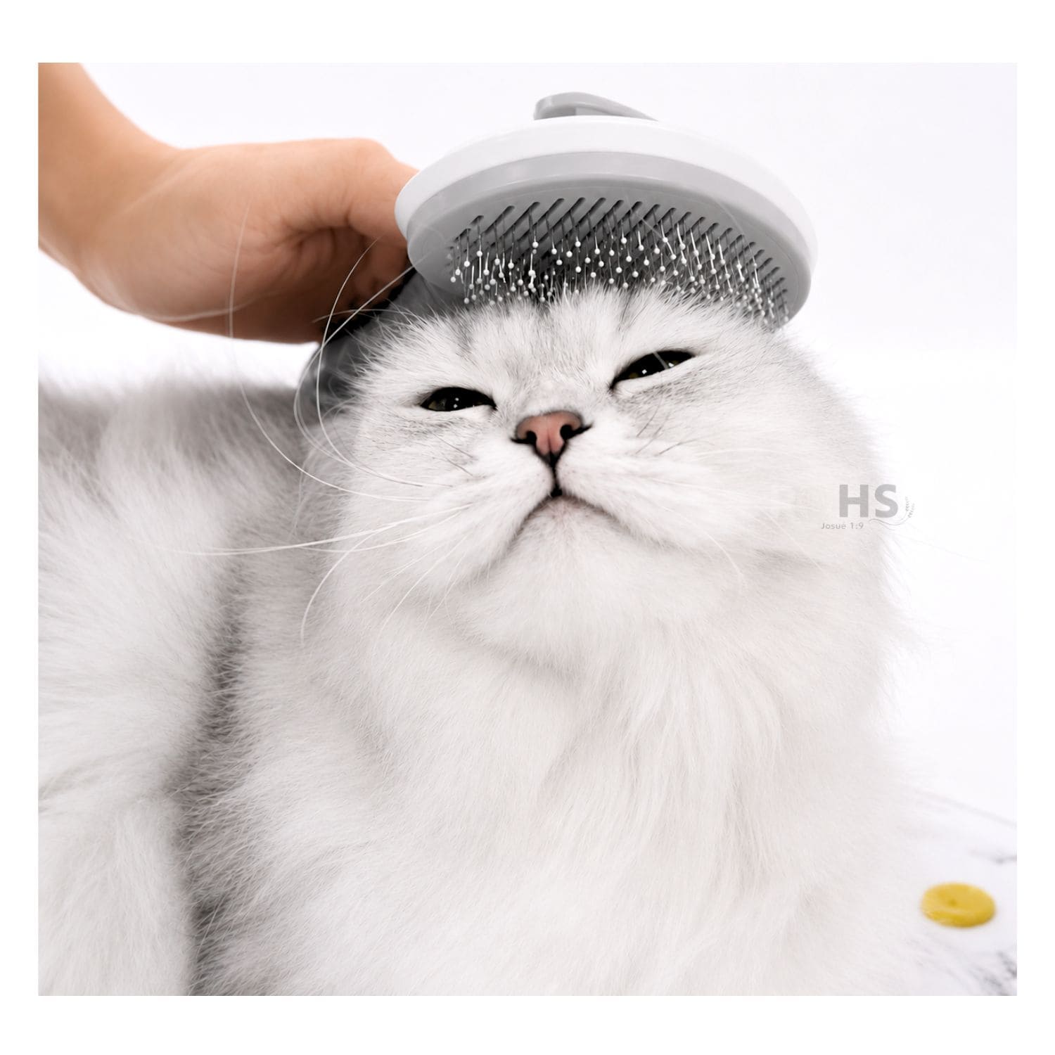 CEPILLO REMOVEDOR DE PELO GRIS PARA PERROS Y GATOS CON BOTÓN DE LIMPIEZA - 7