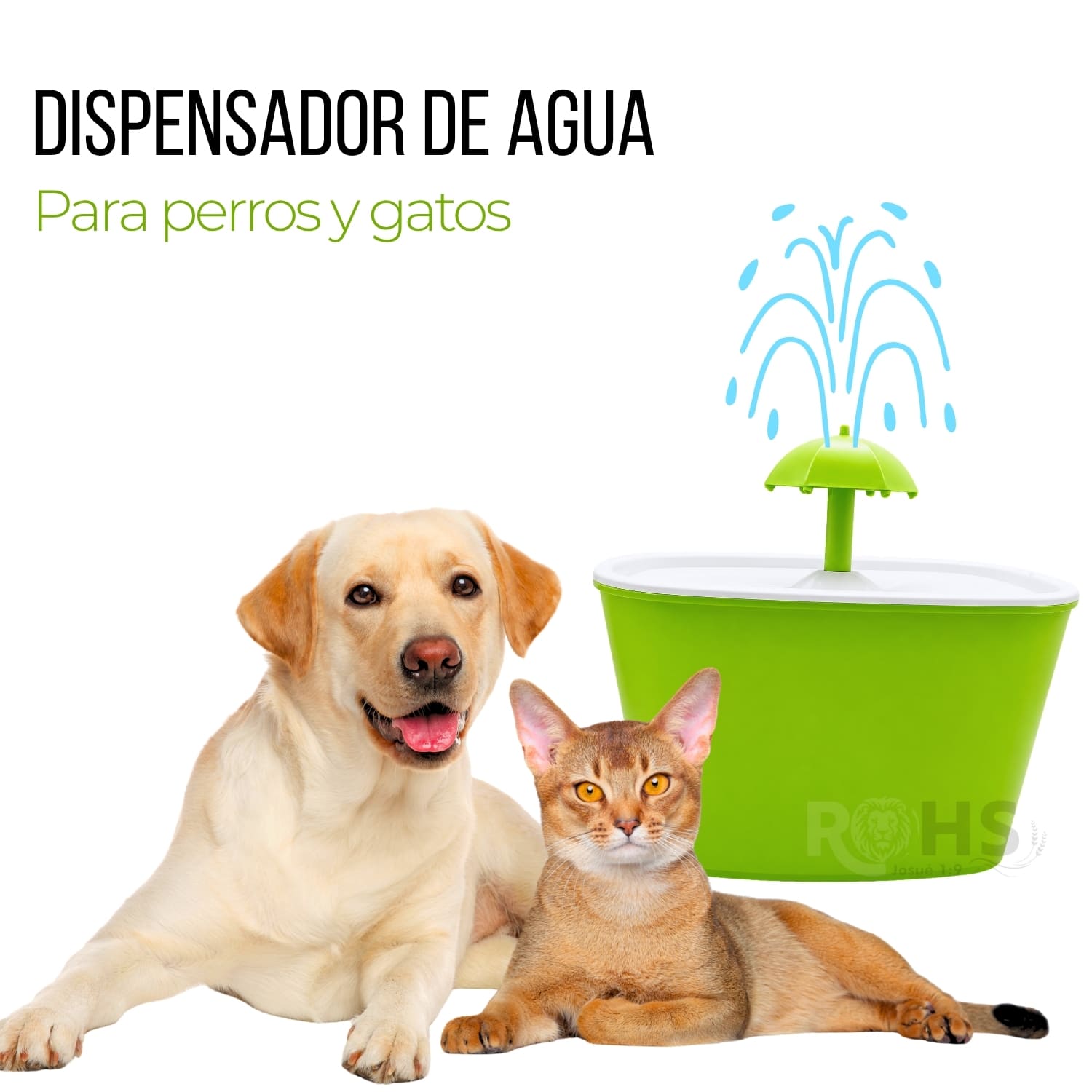 BEBEDERO DISPENSADOR DE AGUA PARA PERROS Y GATOS COLOR VERDE - 1