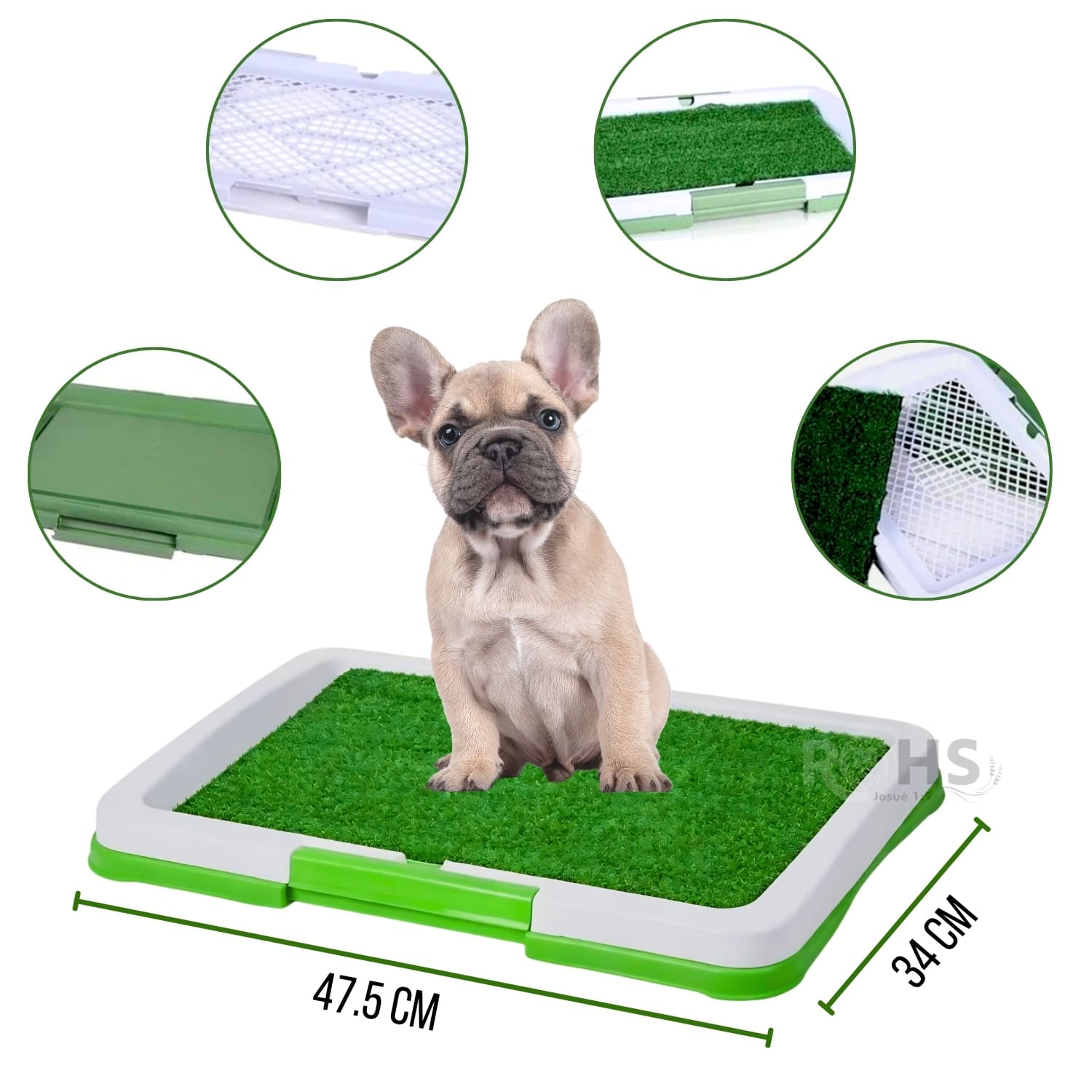 DÚO MASCOTA BAÑO ECOLÓGICO Y CEPILLO LÁSER INTERACTIVO PARA PERROS Y GATOS - 4