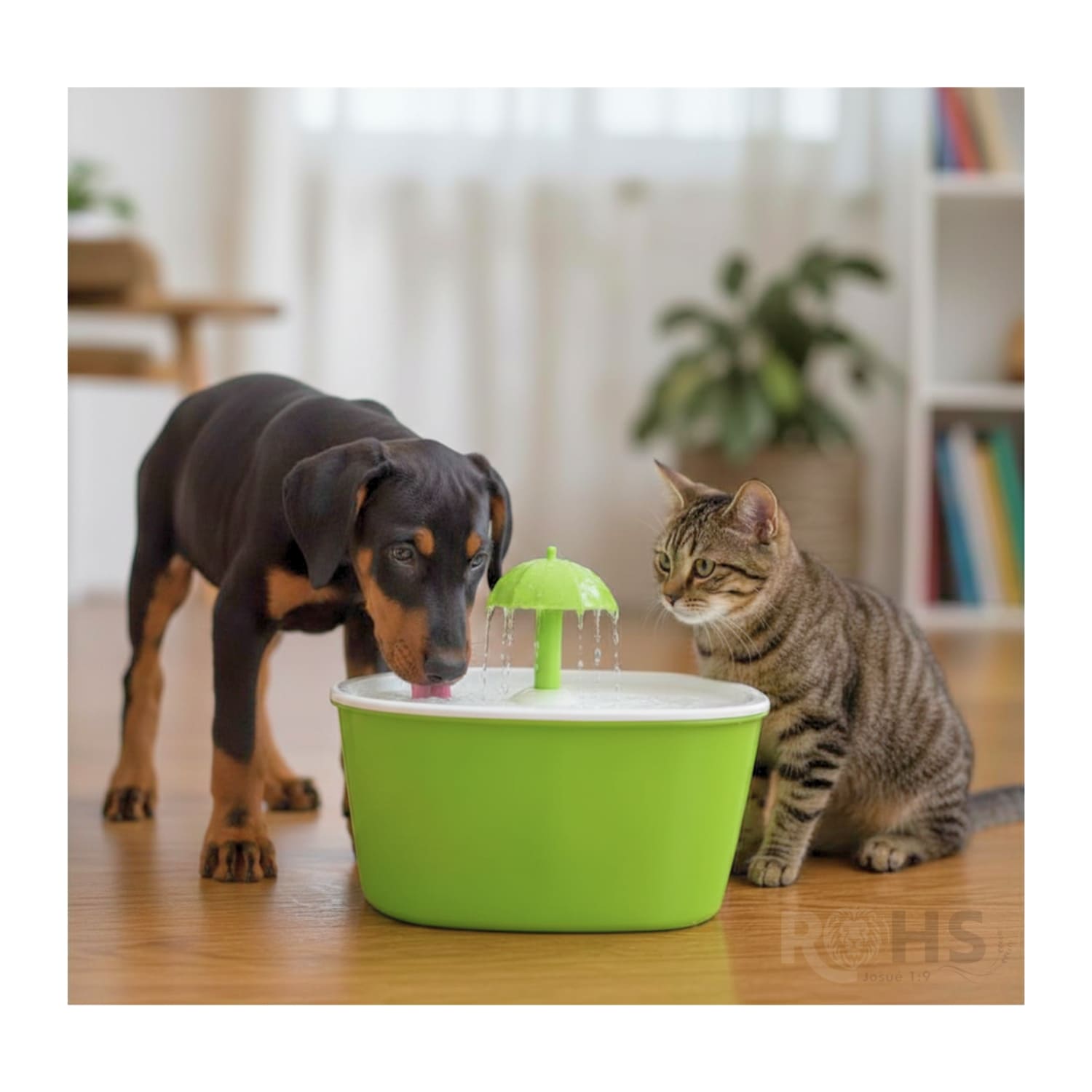 DÚO MASCOTA CON BAÑO ECOLÓGICO PARA PERROS Y BEBEDERO DISPENSADOR DE AGUA - 7
