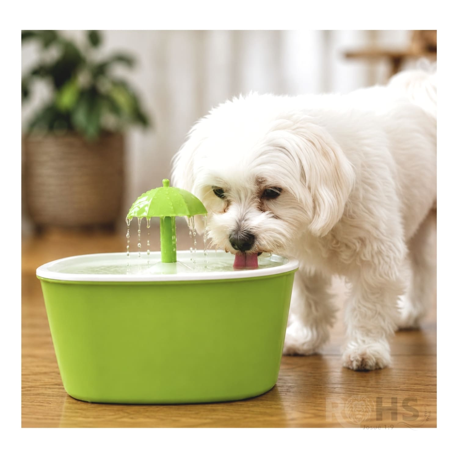 DÚO MASCOTA DISPENSADOR DE AGUA VERDE Y CEPILLO QUITA PELUSA PARA PERROS Y GATOS - 2