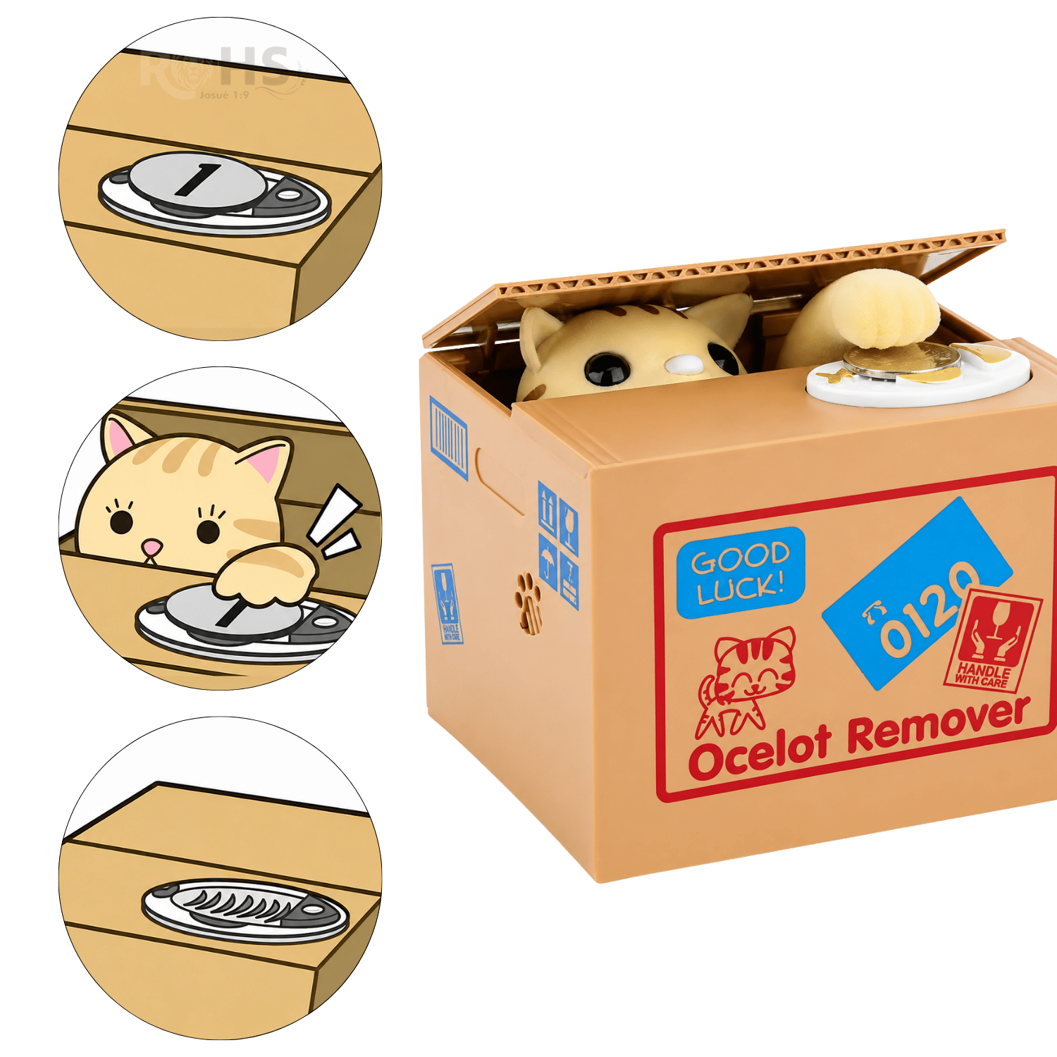 ALCANCÍA DE GATO AHORRADOR EN CAJA CON MOVIMIENTO - 3