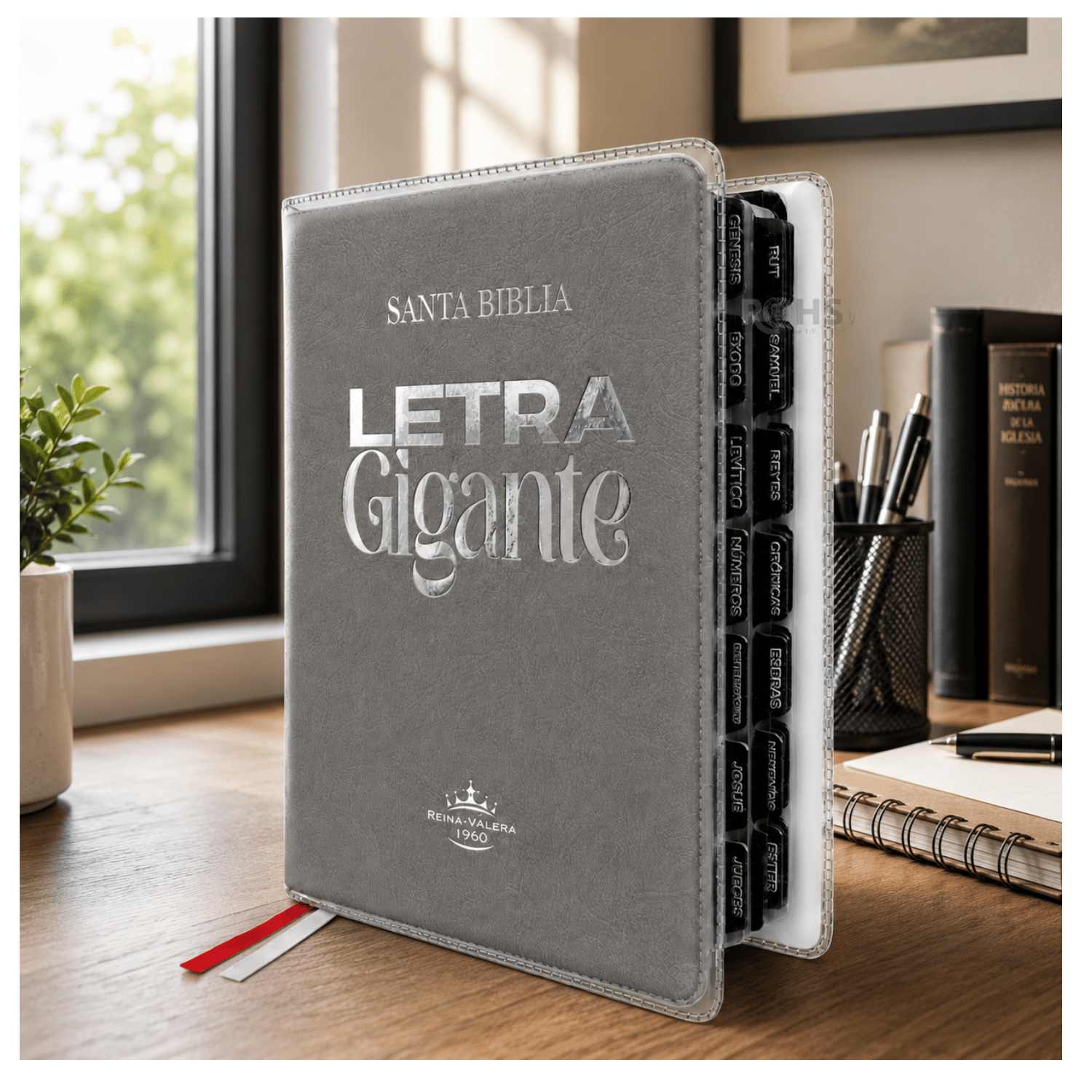 BIBLIA REINA VALERA 1960 - LETRA GIGANTE - 14 PUNTOS - COLOR GRIS CON FORRO TRANSPARENTE Y TABS - 1