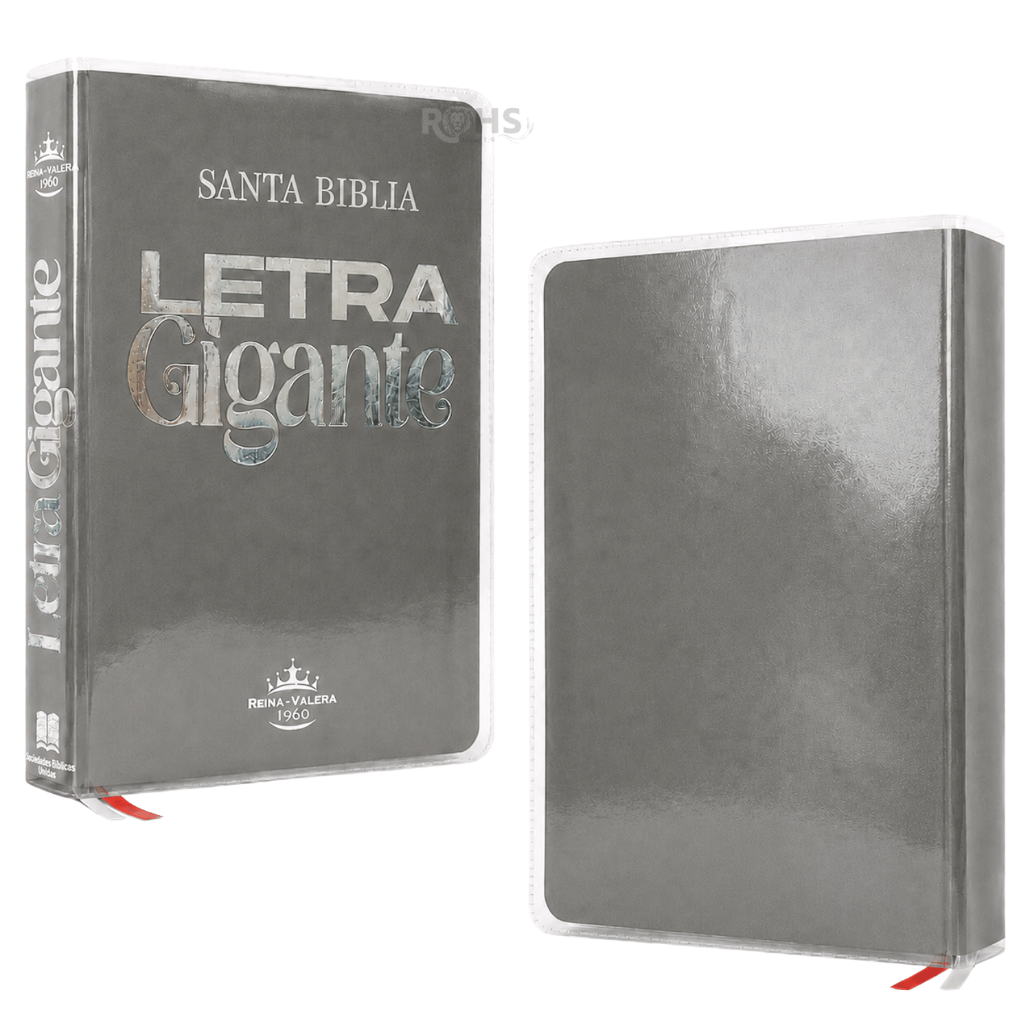 BIBLIA REINA VALERA 1960 - LETRA GIGANTE - 14 PUNTOS - COLOR GRIS CON FORRO TRANSPARENTE Y TABS - 2