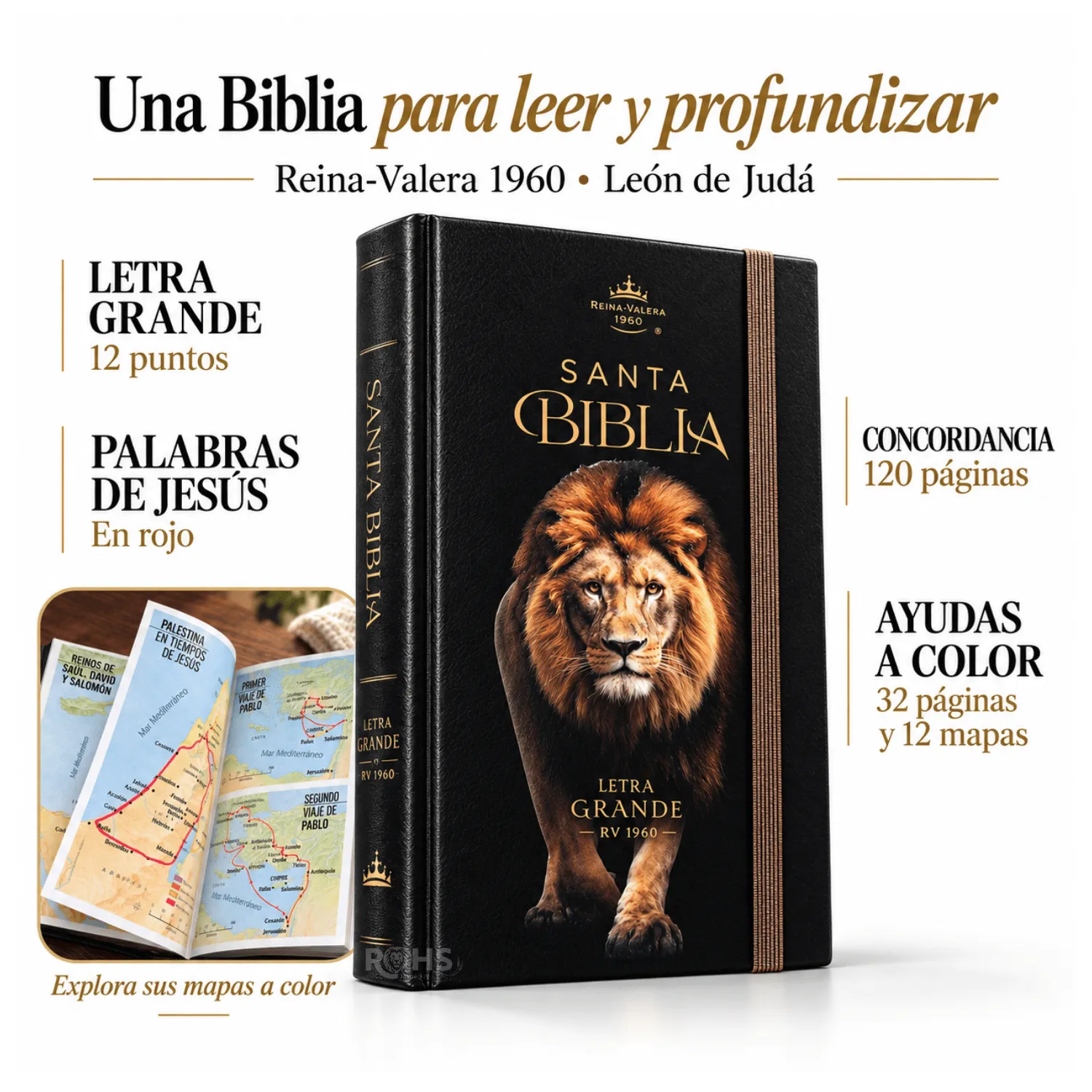BIBLIA REINA VALERA 1960 LETRA GRANDE 12 PUNTOS - TAPA DURA CON ELÁSTICO, “LEÓN DE JUDÁ” - 3