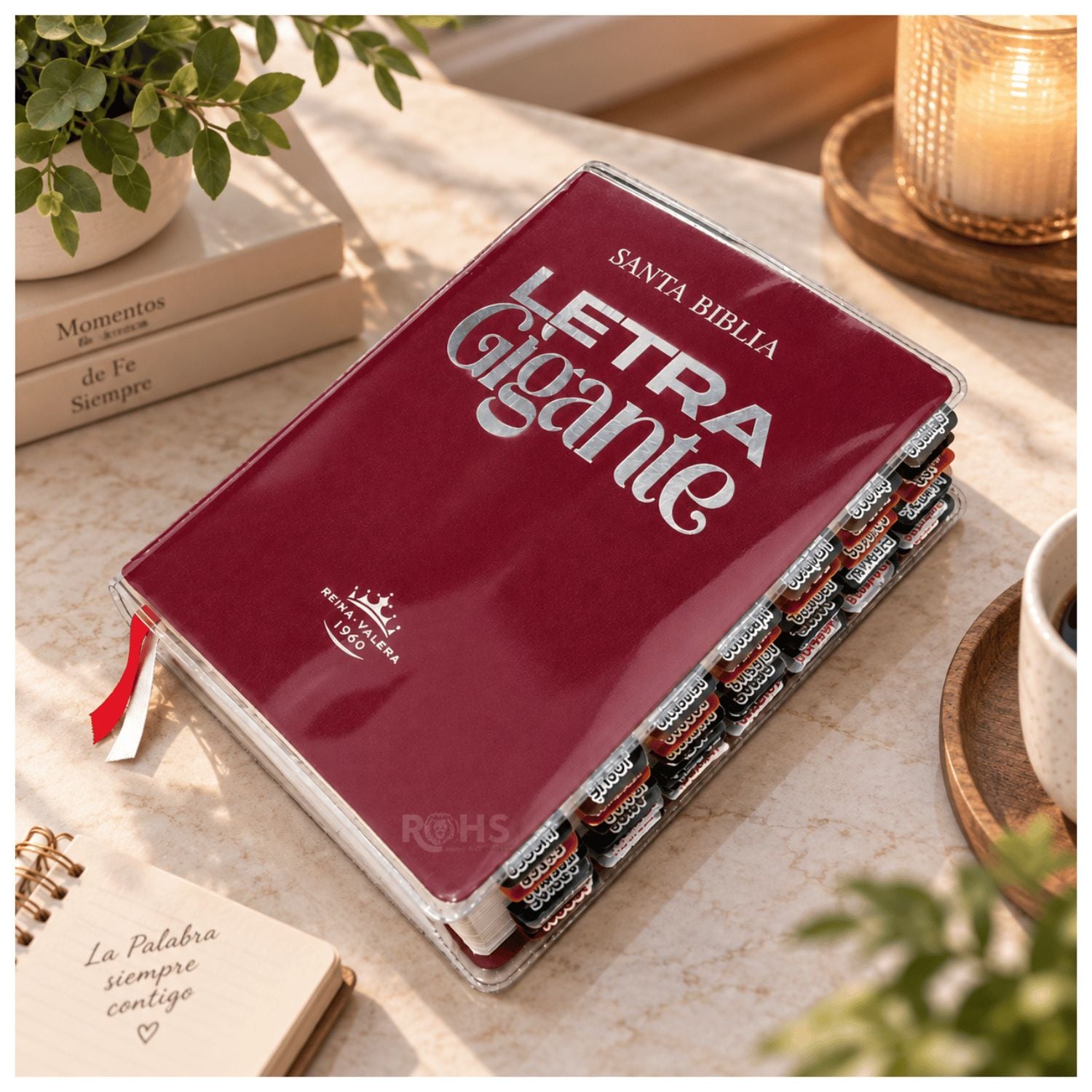 BIBLIA REINA VALERA 1960 - LETRA GIGANTE 14 PUNTOS, COLOR VINO + TABS Y FORRO TRANSPARENTE - 1