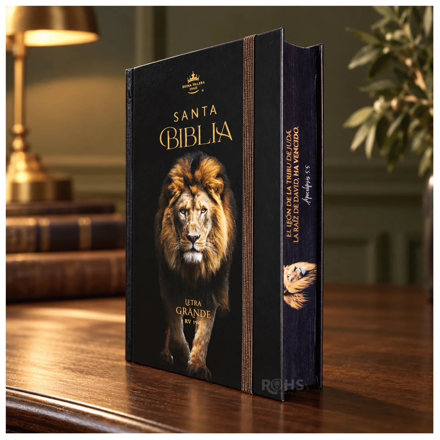 BIBLIA REINA VALERA 1960 “LEÓN DE JUDÁ” LETRA GRANDE 12 PUNTOS - TAPA DURA CON ELÁSTICO - 2