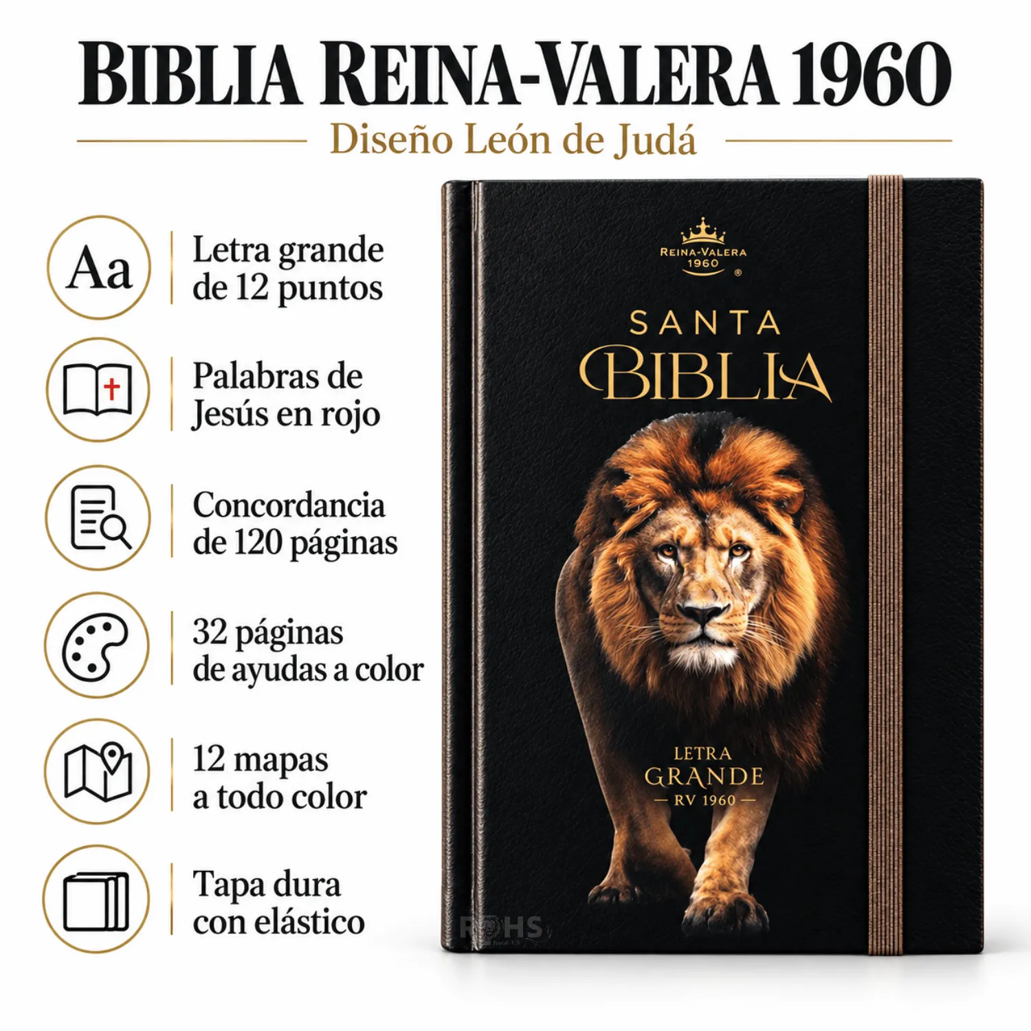 BIBLIA REINA VALERA 1960 “LEÓN DE JUDÁ” LETRA GRANDE 12 PUNTOS - TAPA DURA CON ELÁSTICO - 4