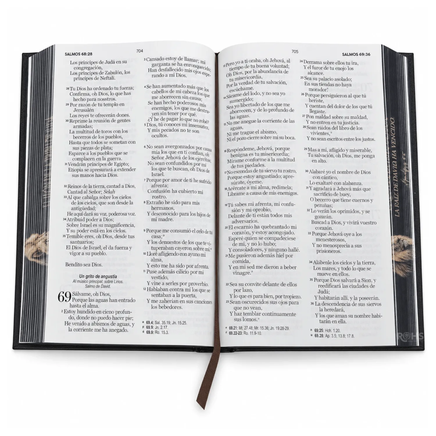 BIBLIA REINA VALERA 1960 “LEÓN DE JUDÁ” LETRA GRANDE 12 PUNTOS - TAPA DURA CON ELÁSTICO - 6