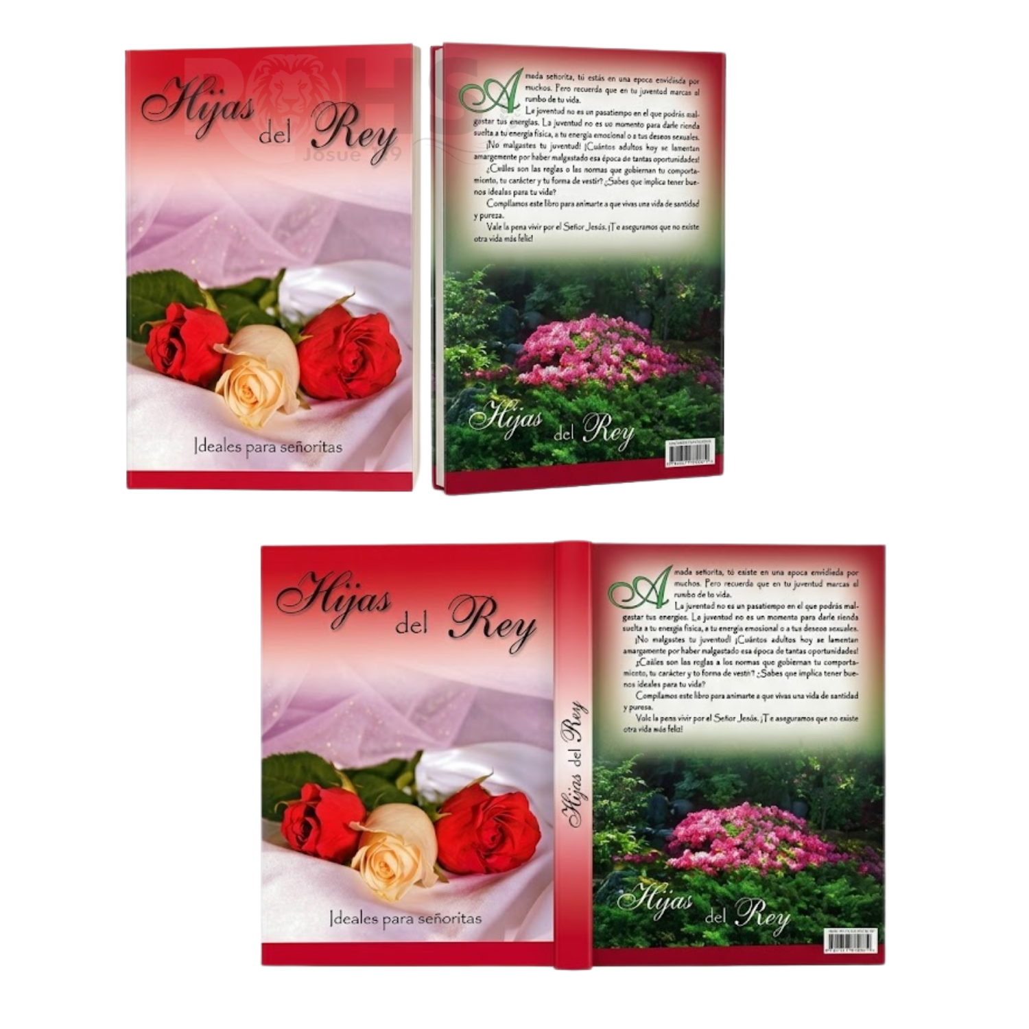 LIBRO DE GUÍA PARA SEÑORITAS - HIJAS DEL REY - 2