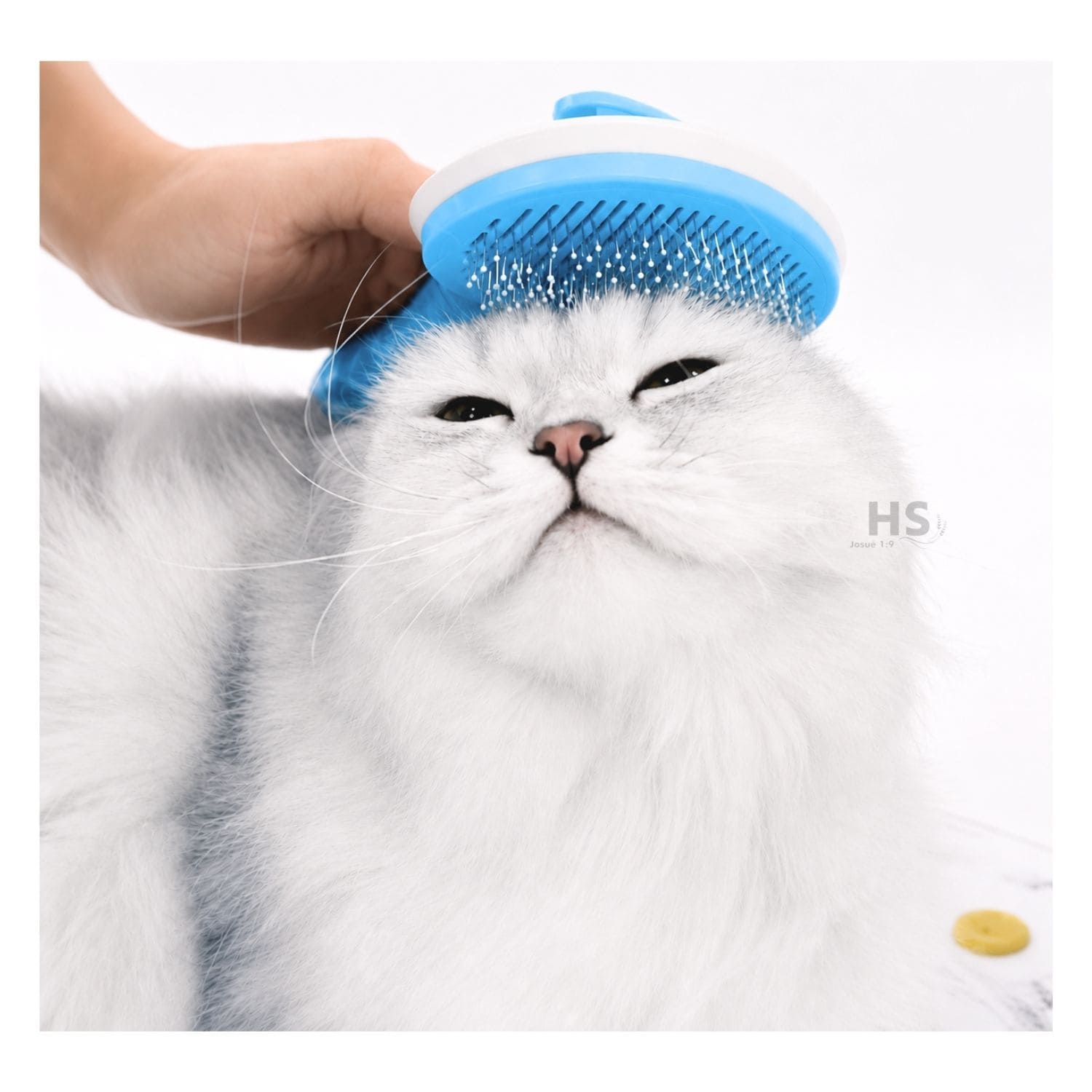 CEPILLO REMOVEDOR DE PELO AZUL PARA PERROS Y GATOS CON BOTÓN DE LIMPIEZA - 7