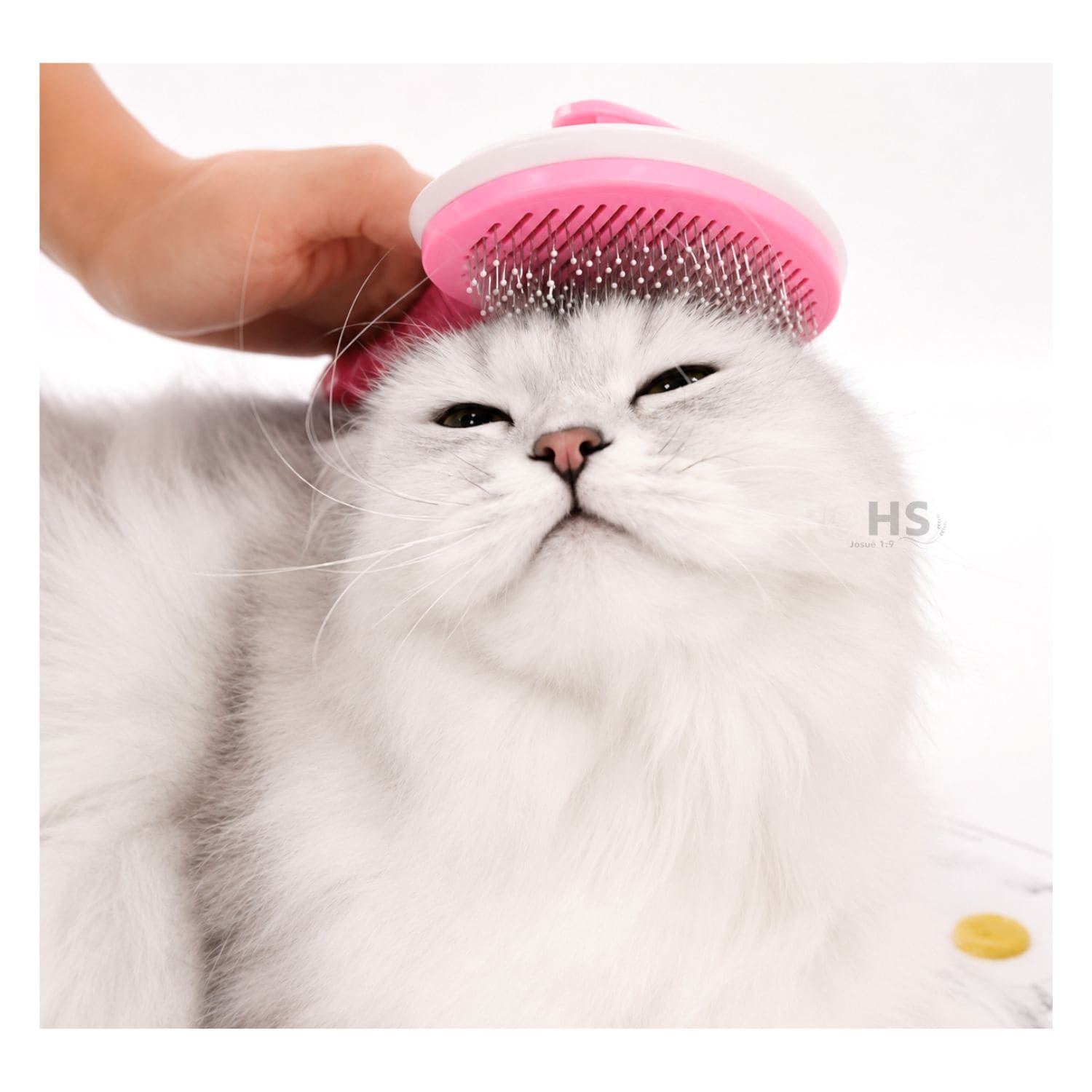 CEPILLO REMOVEDOR DE PELO ROSADO PARA PERROS Y GATOS CON BOTÓN DE LIMPIEZA - 7