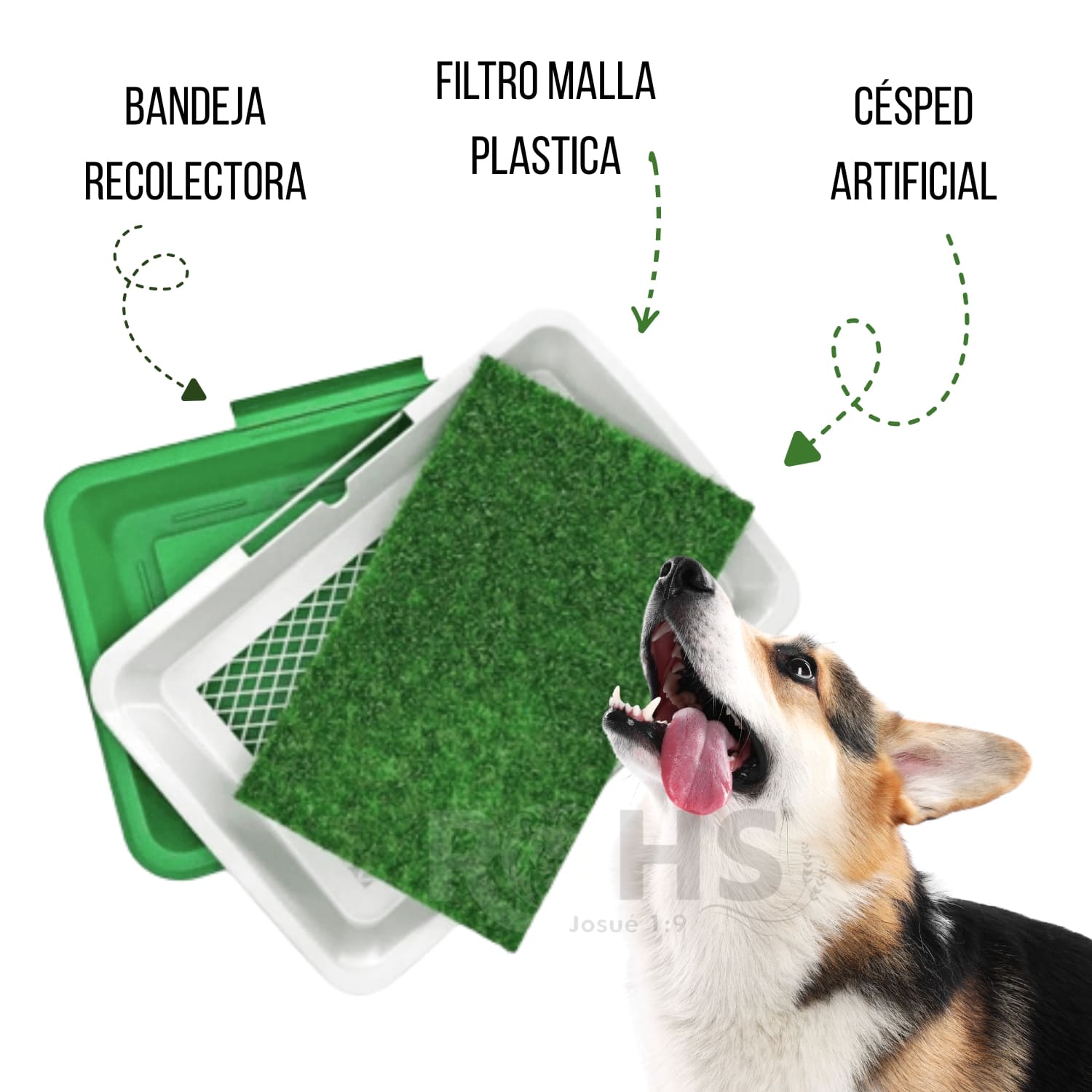 BAÑO ECOLÓGICO PARA PERROS CON CÉSPED SANITARIO REUTILIZABLE Y BANDEJA ANTIDERRAME - 2