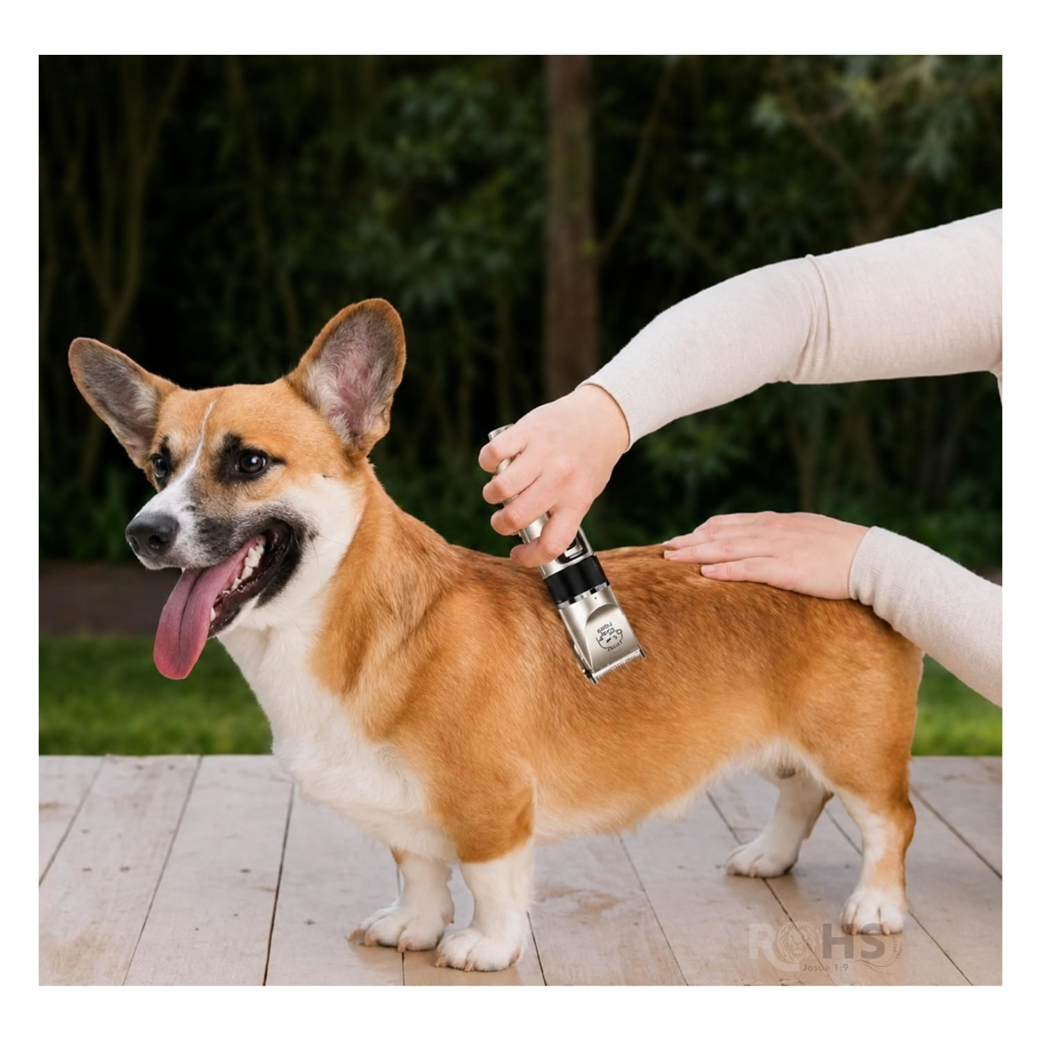 KIT DE PELUQUERÍA MÁQUINA CORTADORA DE PELO RECARGABLE PARA PERROS Y GATOS - 4