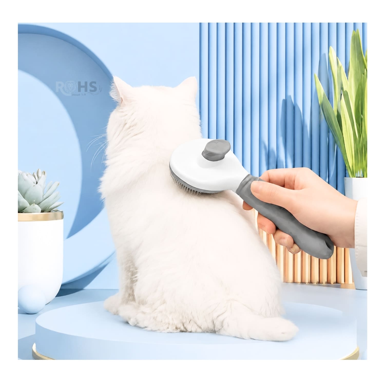 DÚO MASCOTA DISPENSADOR DE AGUA VERDE Y CEPILLO QUITA PELUSA PARA PERROS Y GATOS - 7