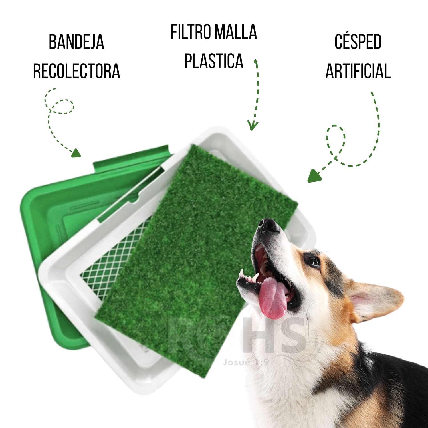 DÚO MASCOTA CON BAÑO ECOLÓGICO PARA PERROS Y BEBEDERO DISPENSADOR DE AGUA - 2