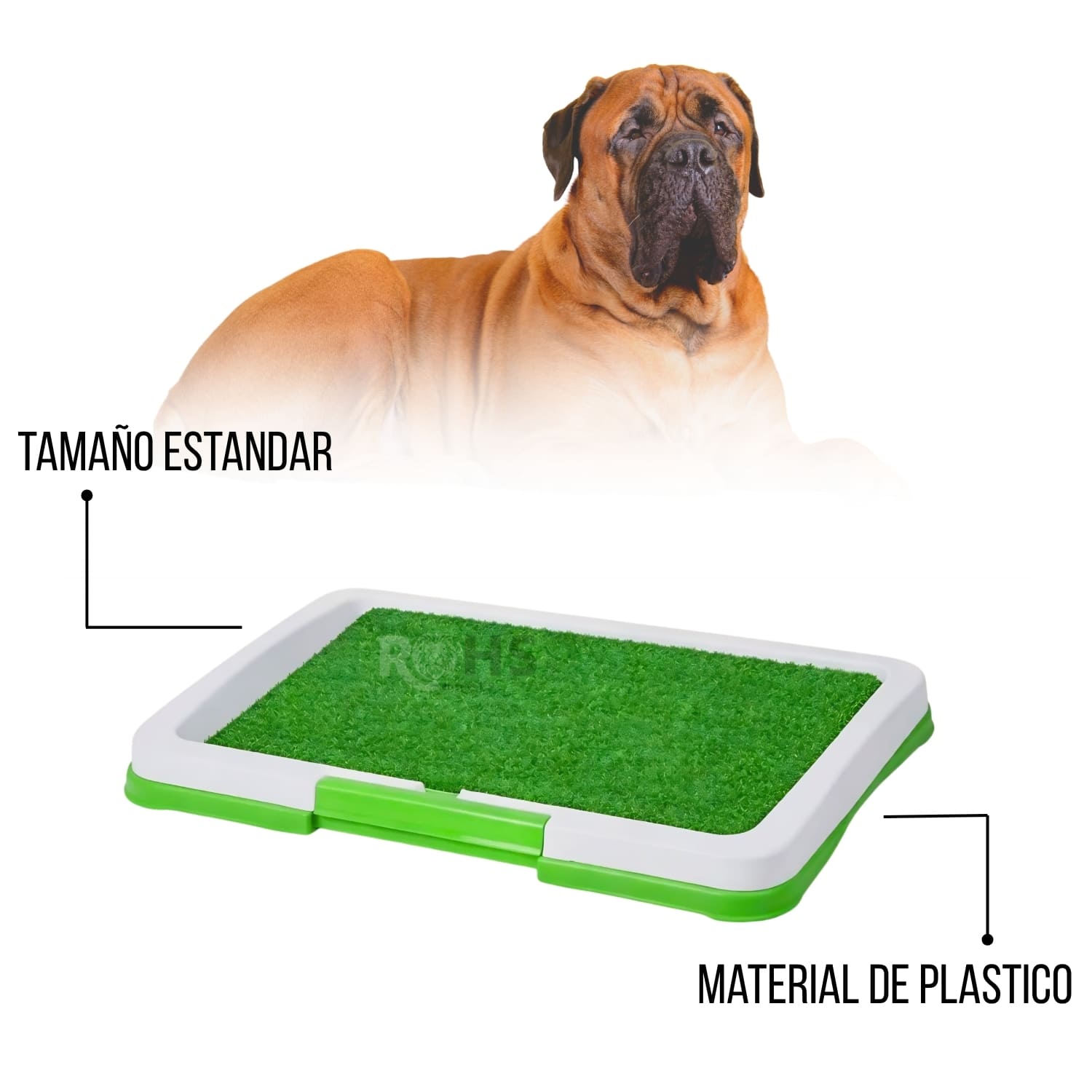 DÚO MASCOTA CON BAÑO ECOLÓGICO PARA PERROS Y BEBEDERO DISPENSADOR DE AGUA - 3