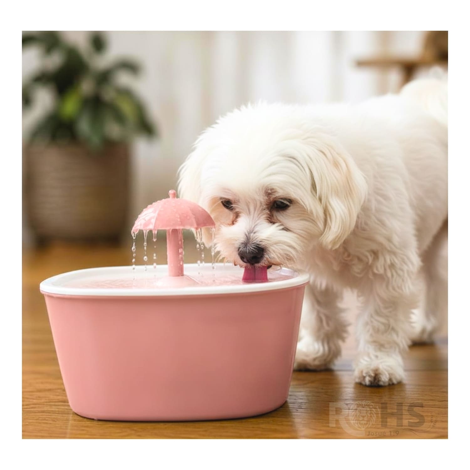 DÚO MASCOTA DISPENSADOR DE AGUA ROSA Y CEPILLO QUITA PELUSA PARA PERROS Y GATOS - 2