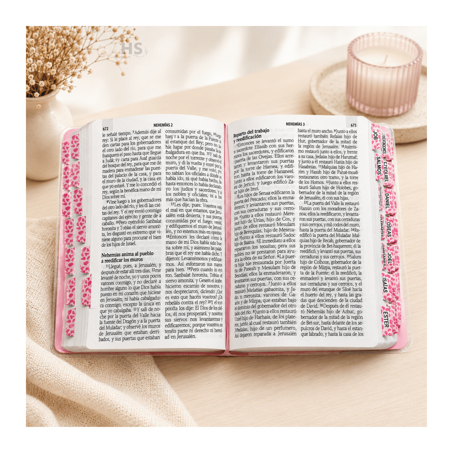 BIBLIA REINA-VALERA 1960 LETRA GIGANTE ROSA + FORRO PROTECTOR TRANSPARENTE - 4