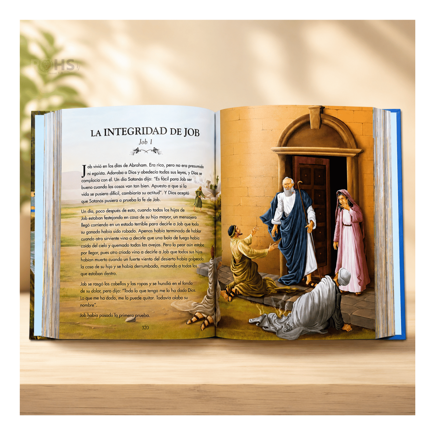 BIBLIA COMPLETA PARA NIÑOS CON ILUSTRACIONES A COLOR - TAPA DURA - 3