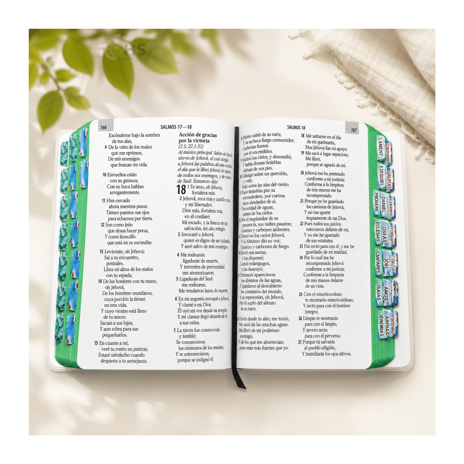 BIBLIA REINA VALERA 1960 - LETRA GIGANTE - 14 PUNTOS - COLOR VERDE MENTA CON FORRO TRANSPARENTE Y TABS - 3