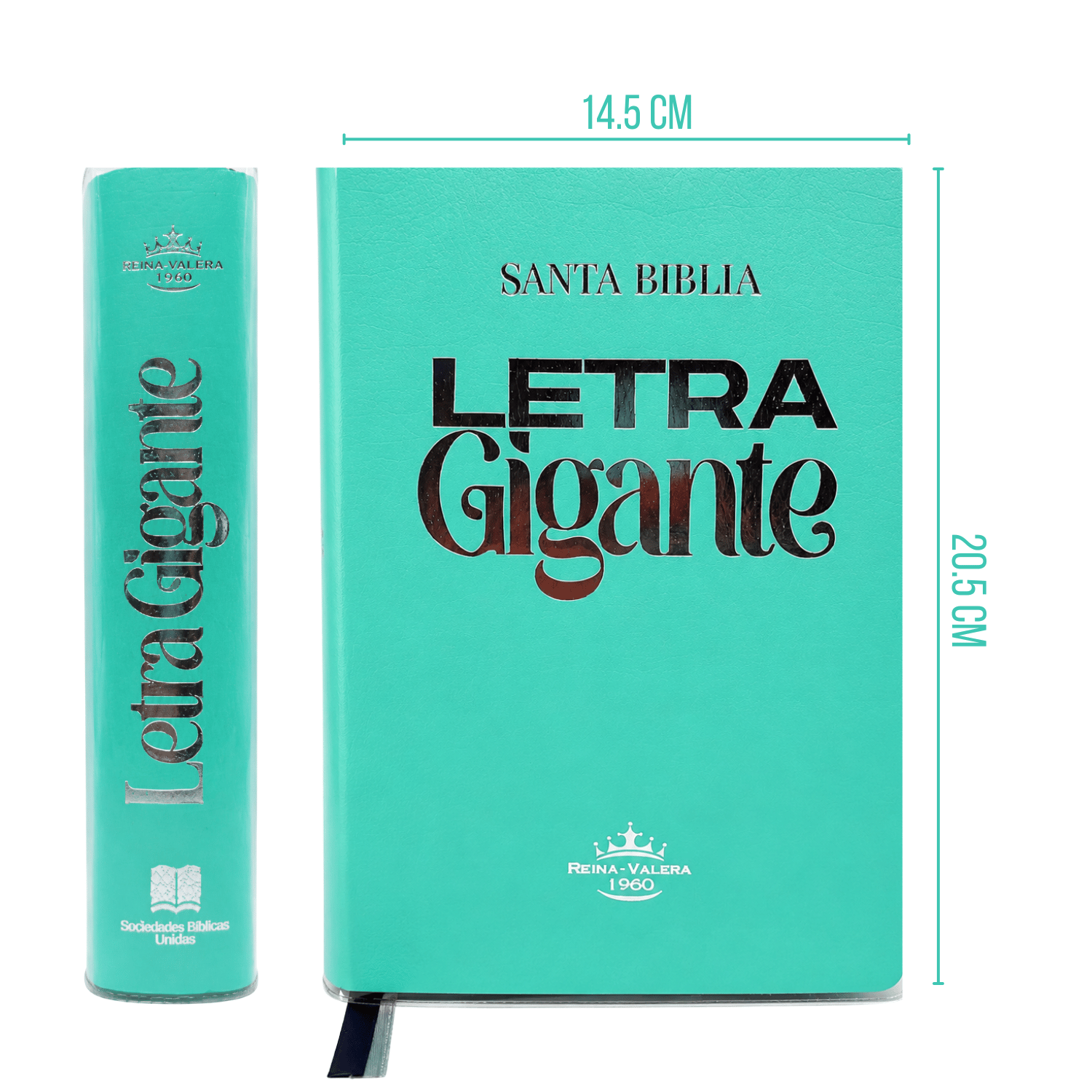 BIBLIA REINA VALERA 1960 - LETRA GIGANTE - 14 PUNTOS - COLOR VERDE MENTA CON FORRO TRANSPARENTE + TABS - 4