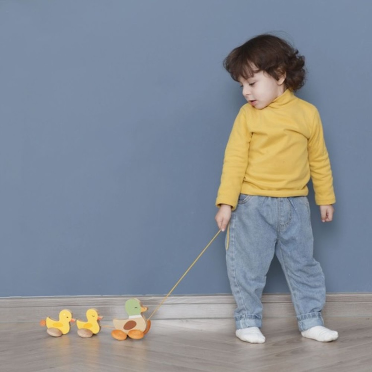 PATOS PARA JALAR, PULL PADDING DUCK, DE MADERA, CLASSIC WORLD - 2