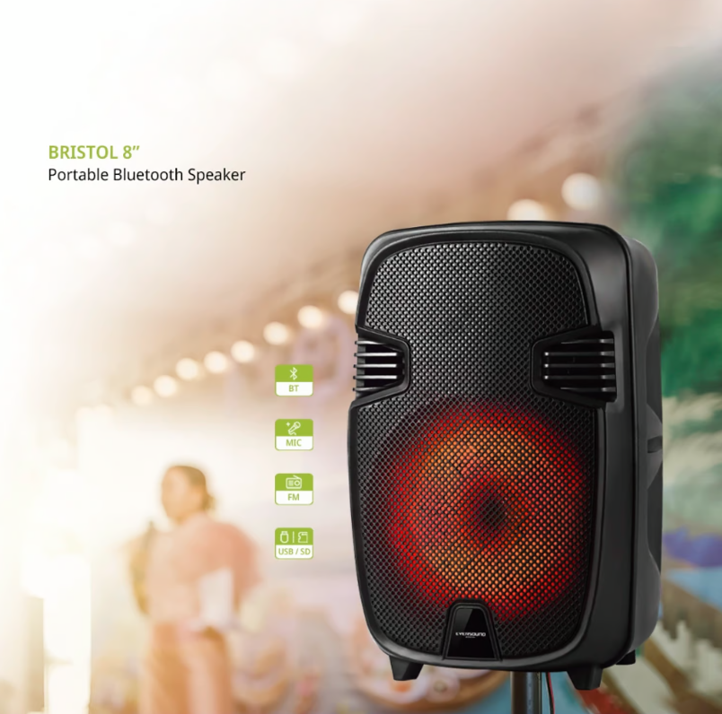 PARLANTE EVERSOUND BRISTOL8" EV BRISTOL8' 1000 - 4