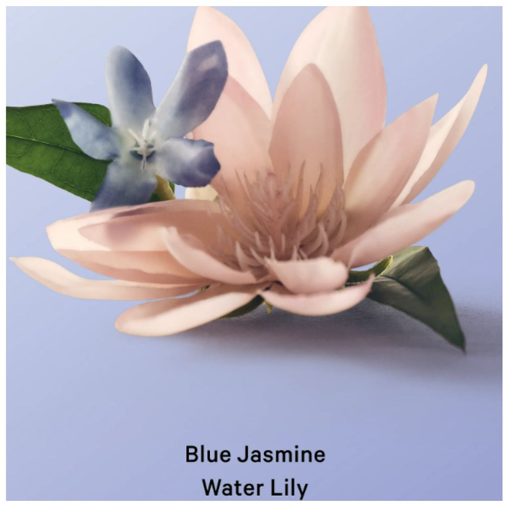 MIST PARA CABELLO Y CUERPO VICTORIA’S SECRET BLUE JASMINE WATER LILY 236 ML - 2