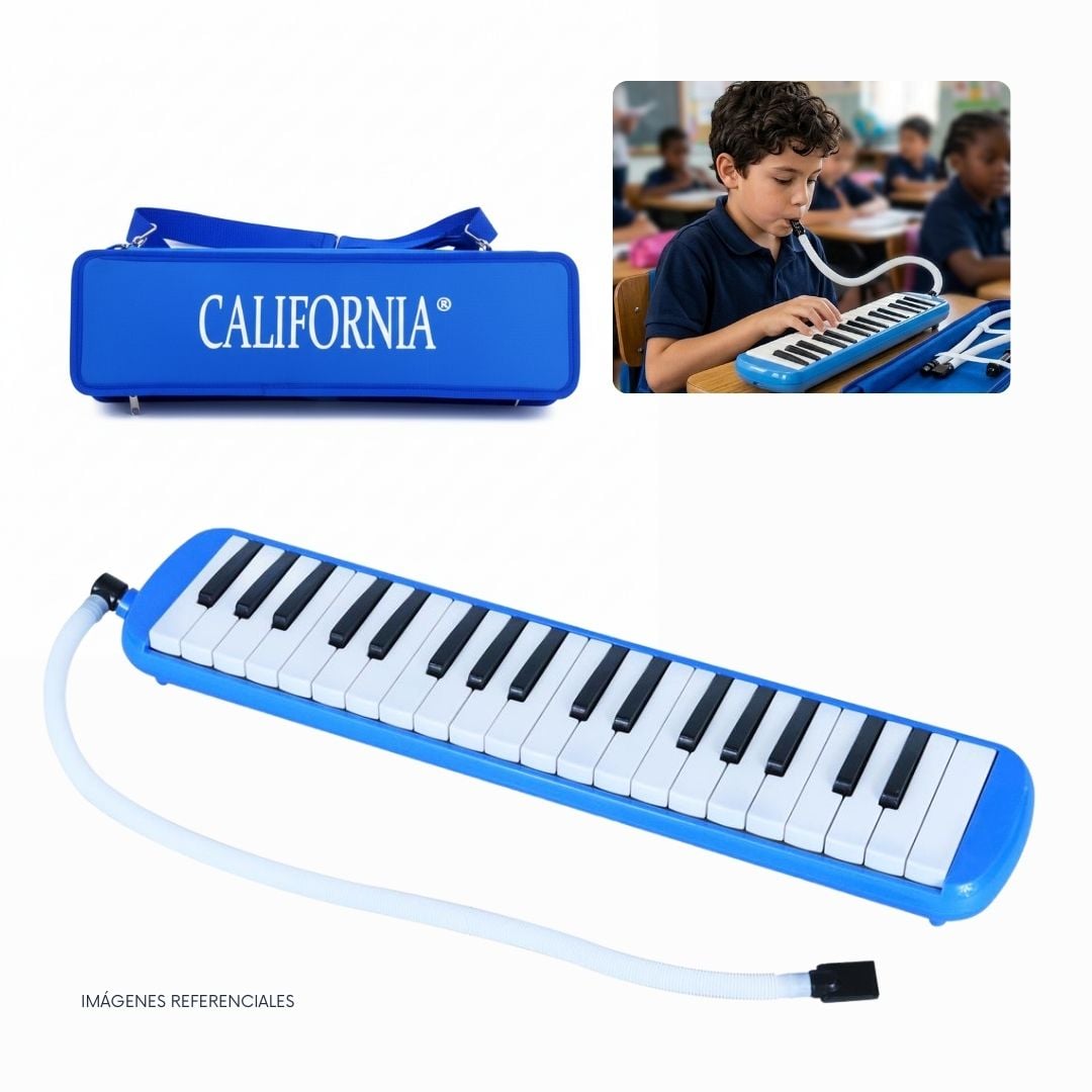 MELODICA 37 TECLAS CON ESTUCHE Y ACCESORIOS PARA APRENDIZAJE MUSICAL - 1