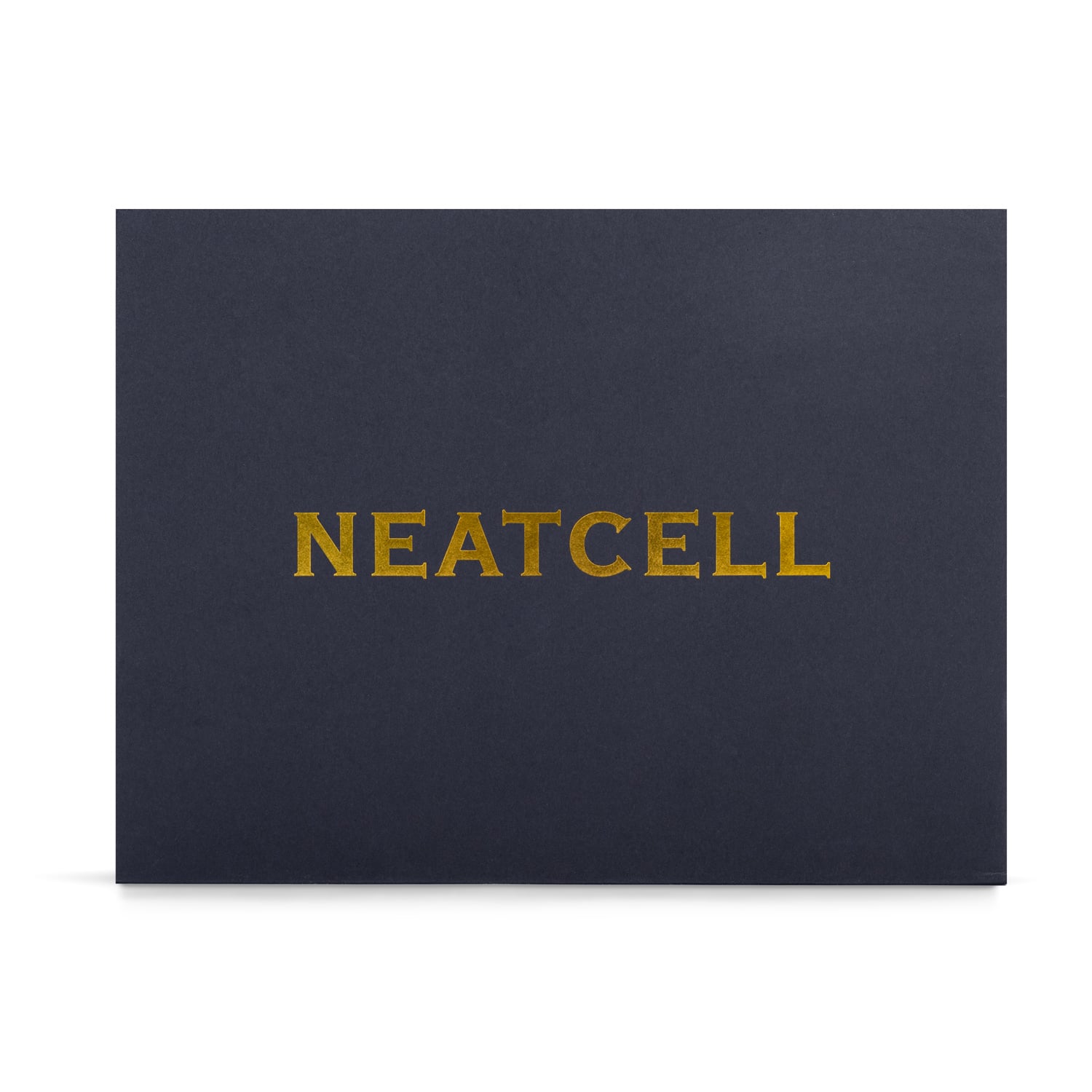LÁSER PICOSEGUNDO NEATCELL PARA ELIMINAR MANCHAS Y TATUAJES - 2