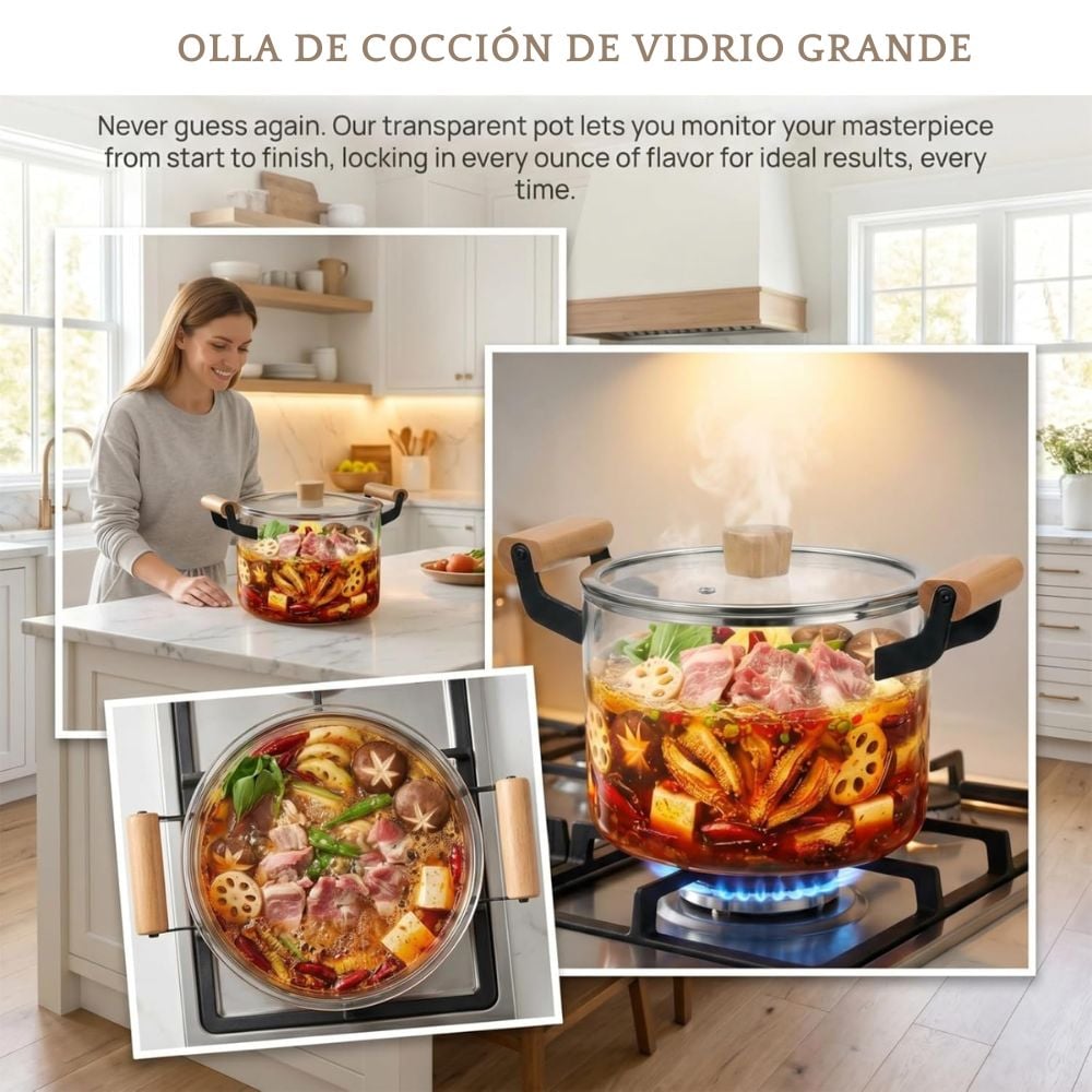 OLLA DE VIDRIO BOROSILICATO CON TAPA Y ASAS DE MADERA 2.5 L - 2
