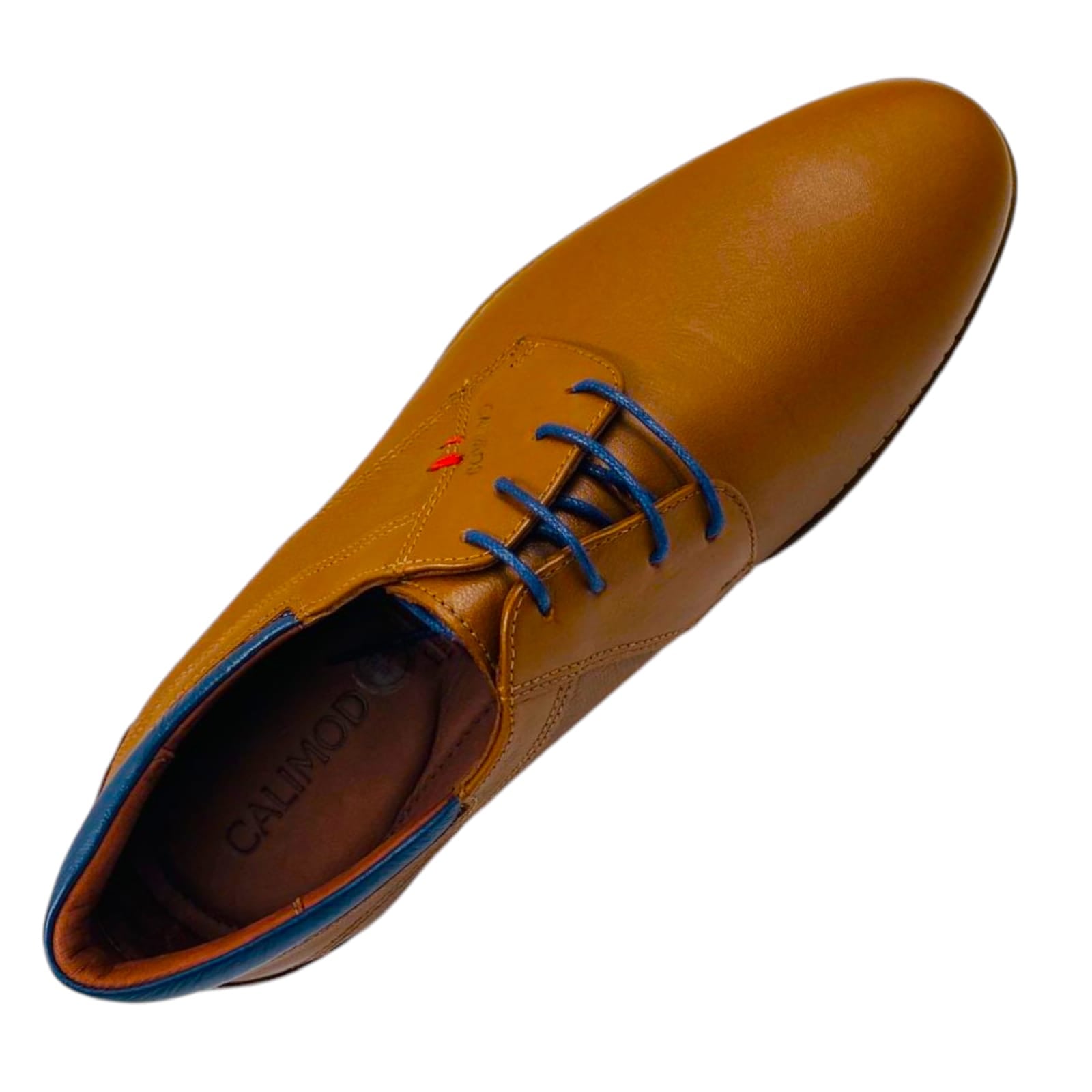 CALIMOD URBANO 1TCL0010022 - 5